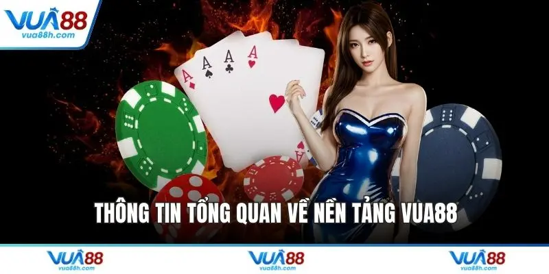Thông tin tổng quan về nền tảng VUA88 Thông tin tổng quan về nền tảng VUA88